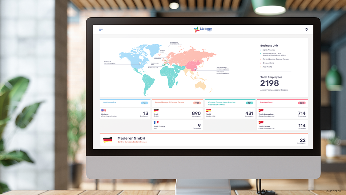 Mederer Global Organisation Dashboard 02